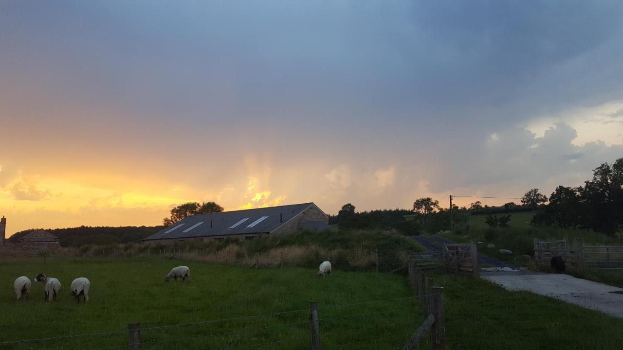 Keld Barn, Low Ploughlands Holiday Lets Kirkby Stephen Exterior photo